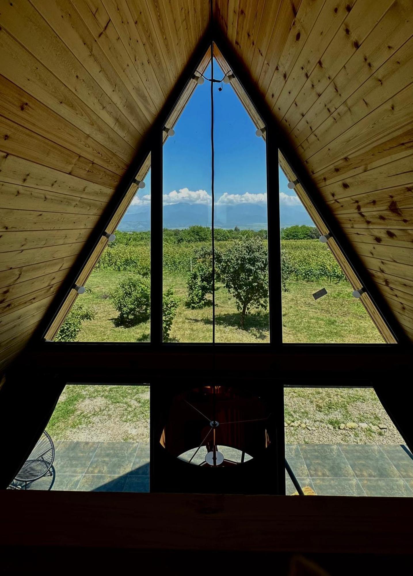 Villa Tsinandali ภายนอก รูปภาพ